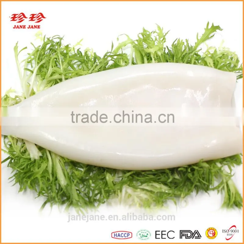 Frozen Squid Tube U5