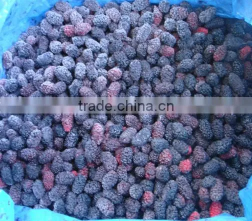 New crop frozen mulberry for sale