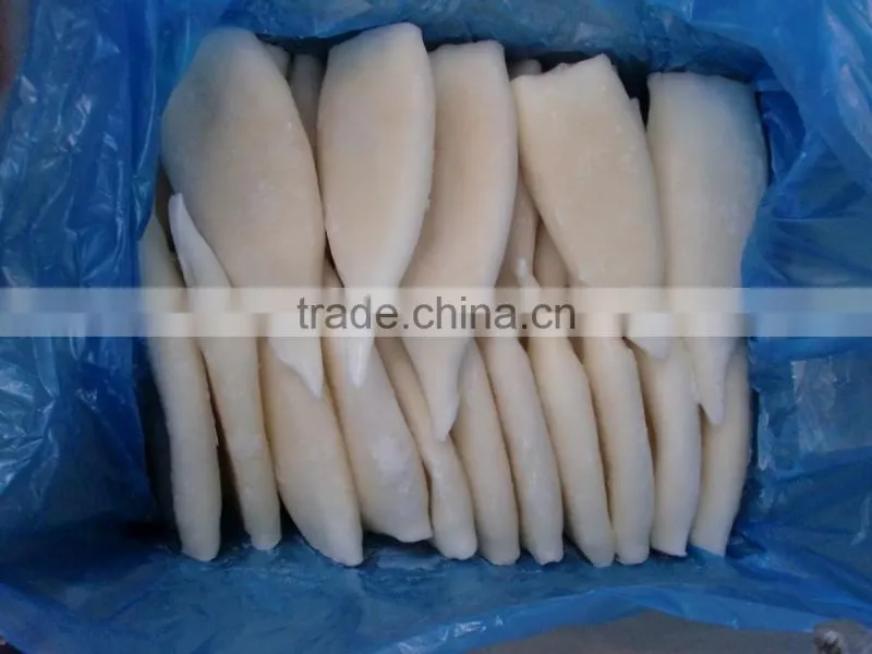 IQF squid tube Todarodes Pacificus