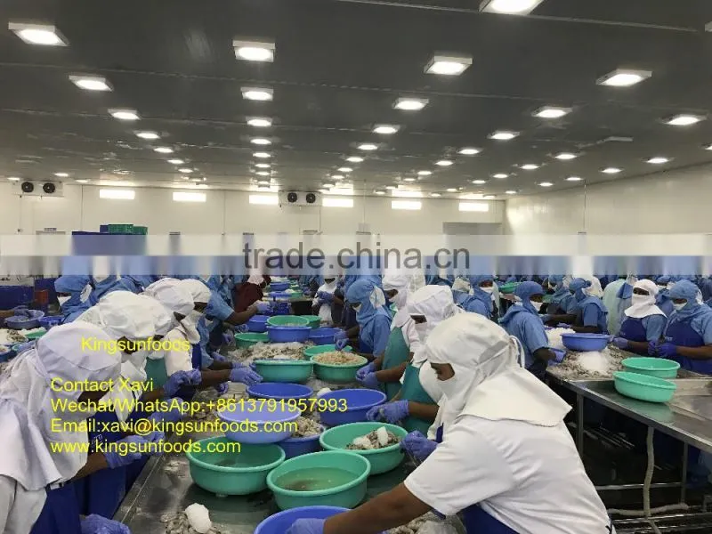 Frozen PD Shrimp,Shrimp Vannamei from India