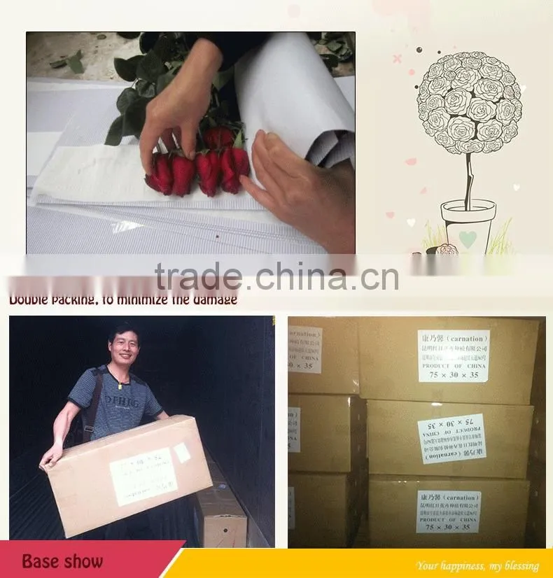 Export cut fresh flower of red rose flower from china