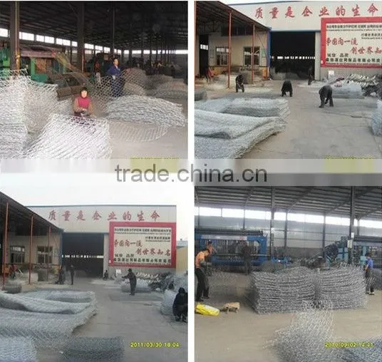 Aviary Netting China Factory