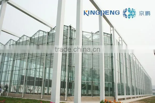 Vegetable growing Greenhouse (ISO9001:2000)