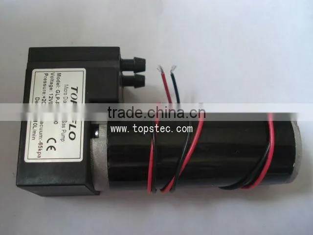 low noise 6/12/24 voltage mini piston vacuum pump