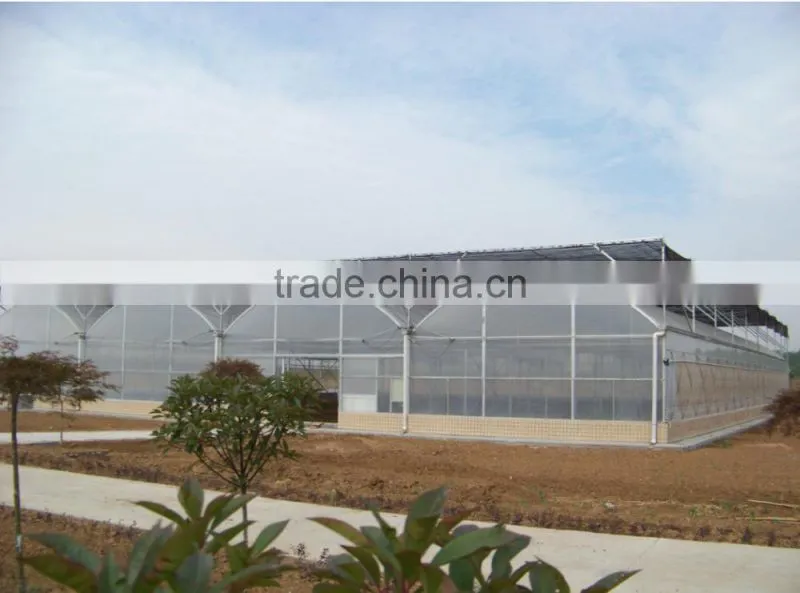 agricultural greenhouse with film for growing