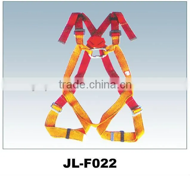 double shoulder safety belt