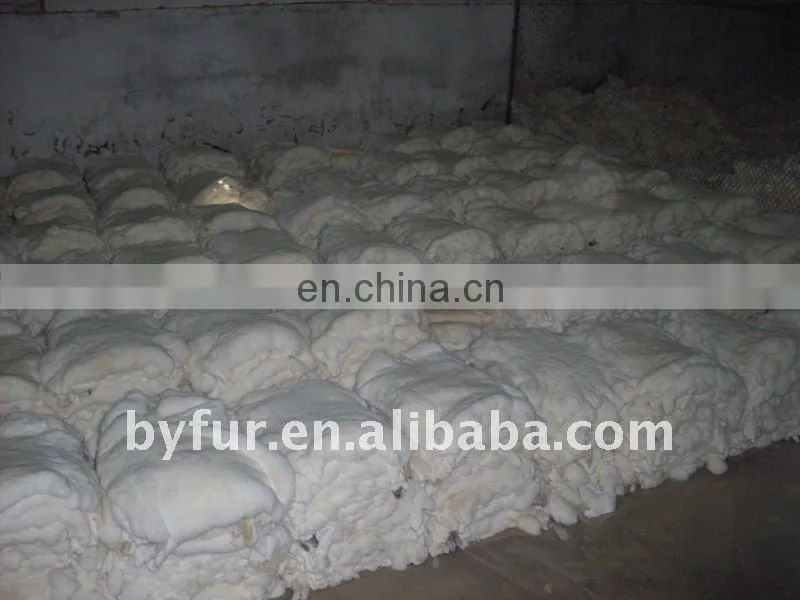 BY-T001 dressed rex rabbit fur skin, rabbit fur skin