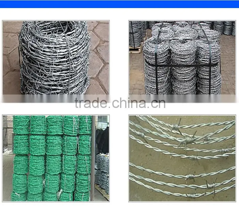 safety reliable quality hot dipped galvanized barbed wire