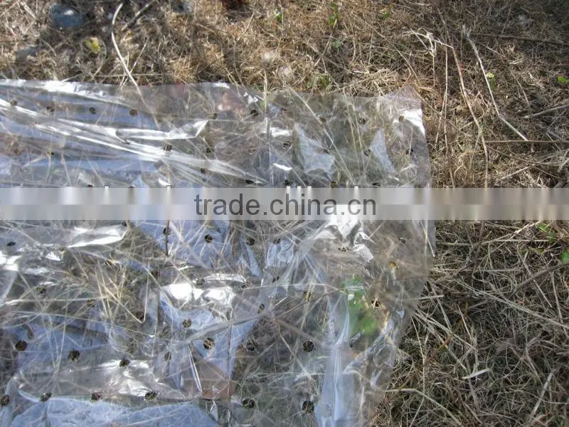 PE Agricultural mulch film with micros holes
