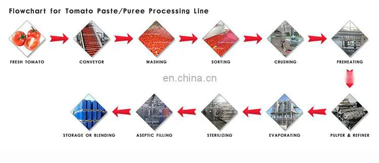 Multifunctional fruit vegetable tomato paste production line filling machine
