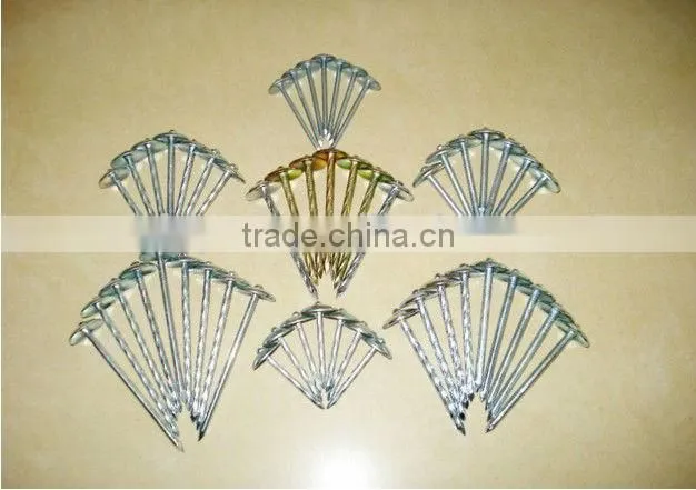 umbrella head Roofing Nails 001