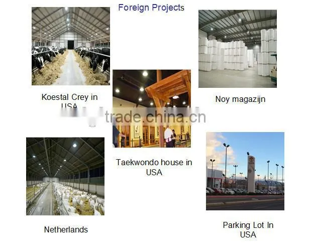 Suburb Road 40W 60W 80W 100W induction Street Light