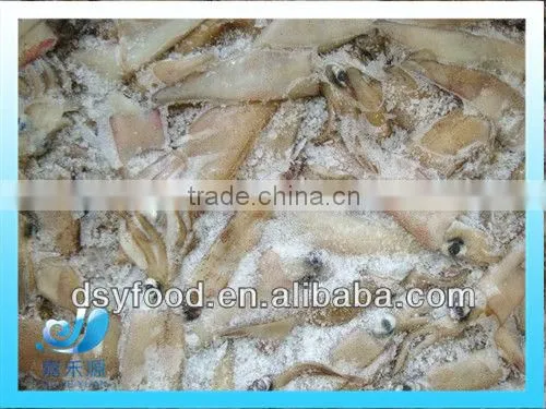Frozen whole Califorian squid