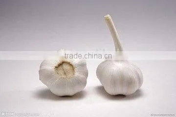 Garlic root cutting machine