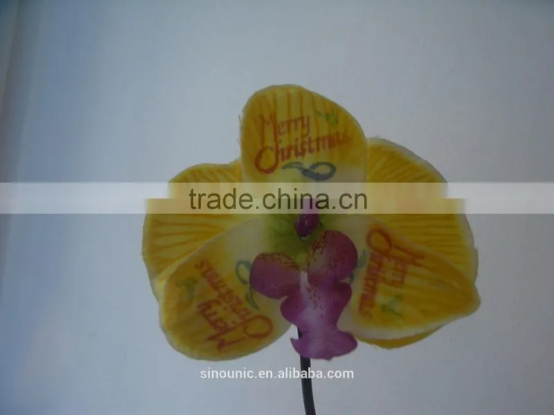 CE Approved New Version Fresh Flower Printer