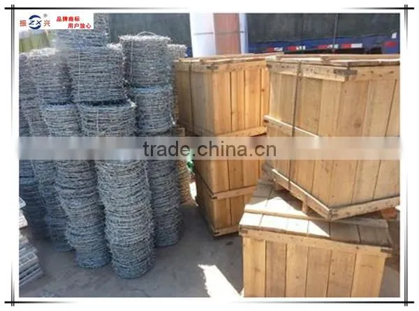 Hot sale hot-dipped galvanized barbed wire price per roll ZX-CS004