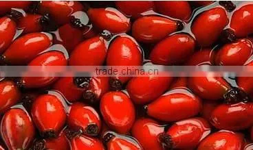 Full Contain Vitamin C 100 Pure Natural Rose Hips Oil