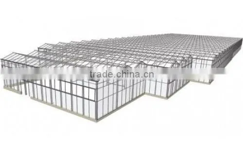 Polycarbonate/PC multi-span agricultural greenhouse
