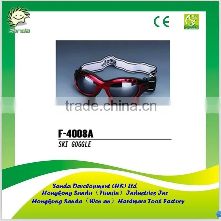 Custom ski goggle with price