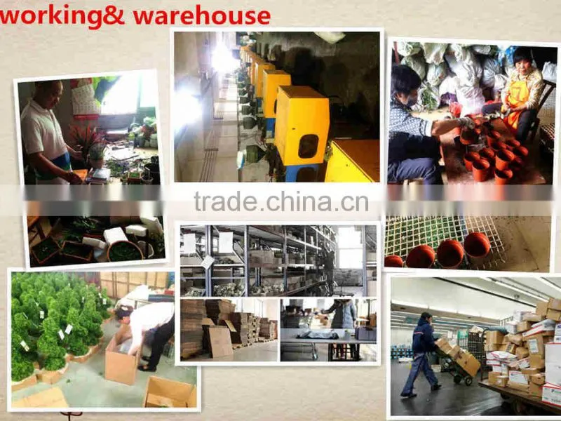 Heshan Senmao Crafts Co., Ltd. company overview - view 2