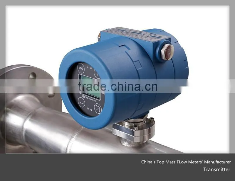 DMF-Series Mass Diaphragm Gas Flow Meter