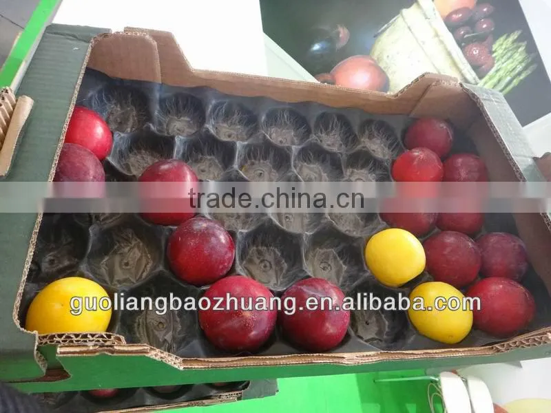 Thermoformed Plastic Food Packaging Insert Liner