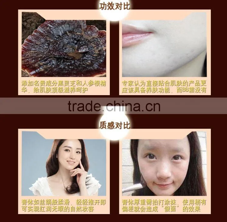 CAICUI Brand DD cream hot sale in Korean whitening high cover foundation cream