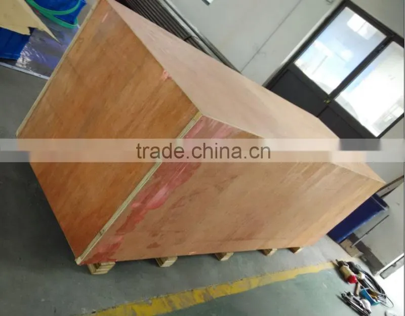 Multiflex Conveyor System for Cartons Transportation