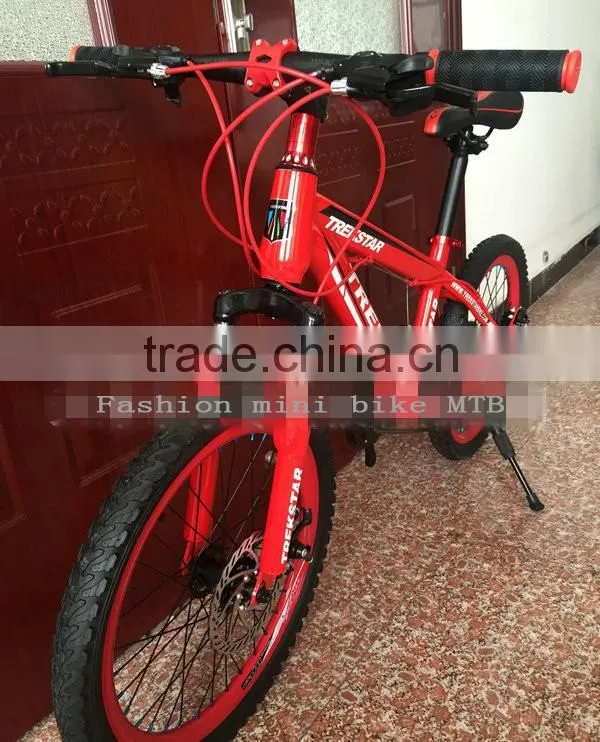Bicycle Fashion Mini Bike MTB 10 Inches Sports Gear Steel Folding Bike Sell Like Hot Cakes