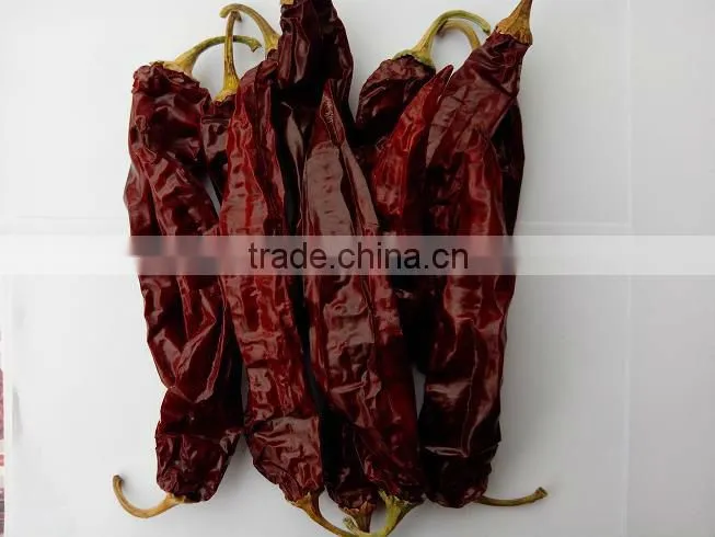 high quality sweet paprika pods