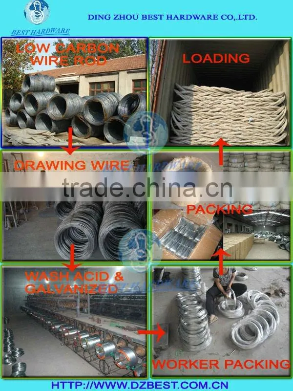 BWG20 2kgs/roll Galvanized binding wire