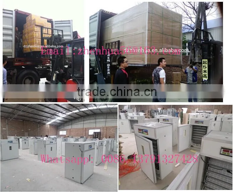 plastic poultry crate/poultry transport crate/poultry cage
