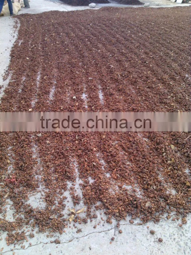 Whole flower star aniseed wihout stem (Autumn crop)