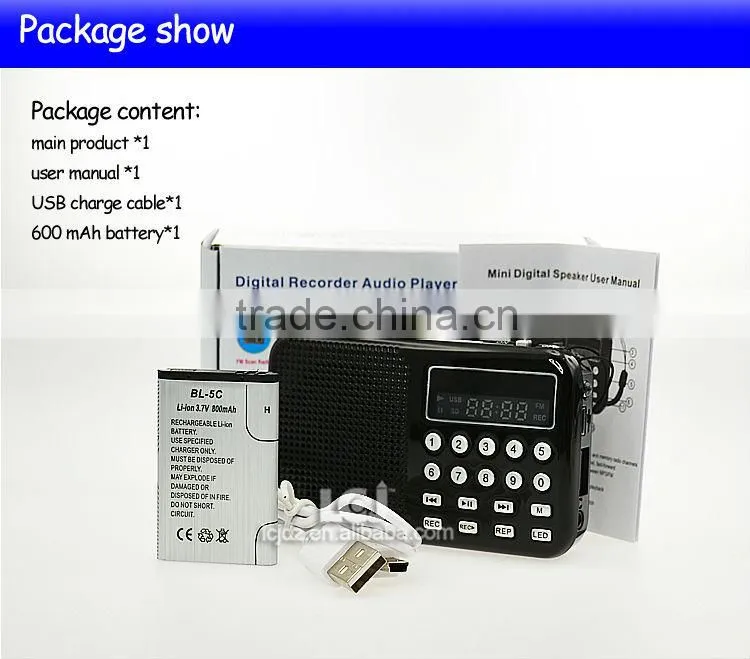2015 hot mp3 wma rec fm player
