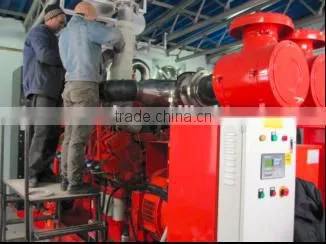 Hot sale! Camda Biogas generator 500kw/Waste to engergy power generator 60Hz