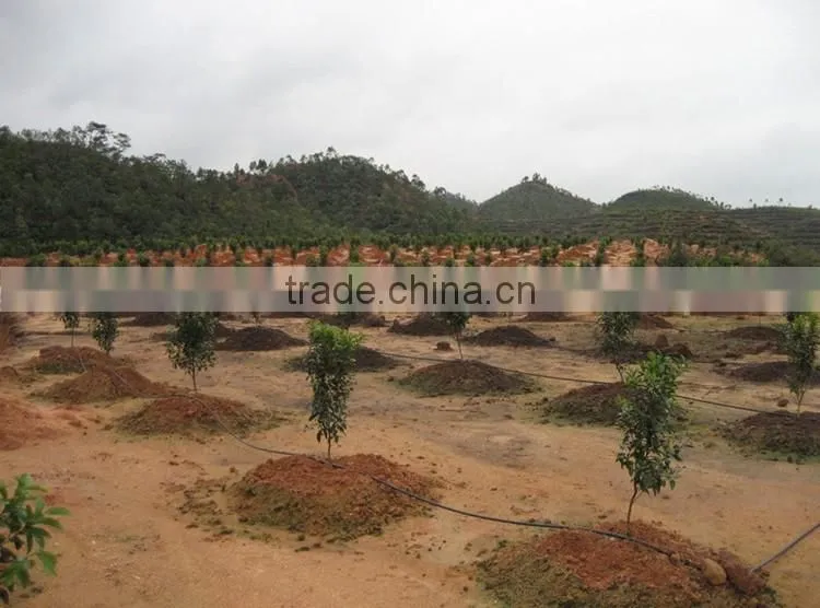 agricultural plant tree irrigation drip system desgin
