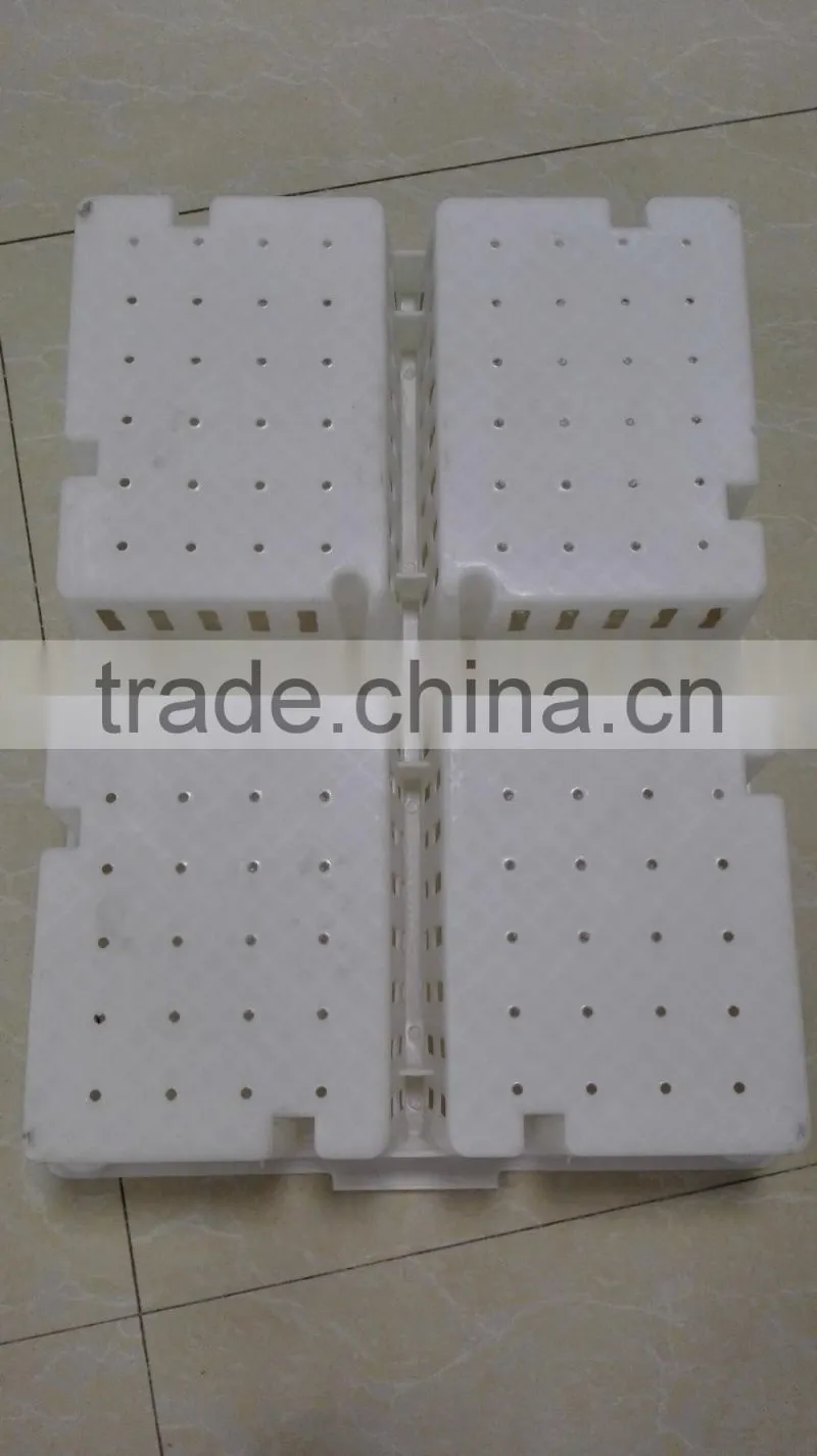 plastic chicken tranport stackable cage/box/crate for child chicken