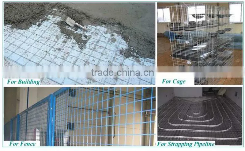 ISO9001 manufacturer chicken wire / heavy duty welded wire mesh panels