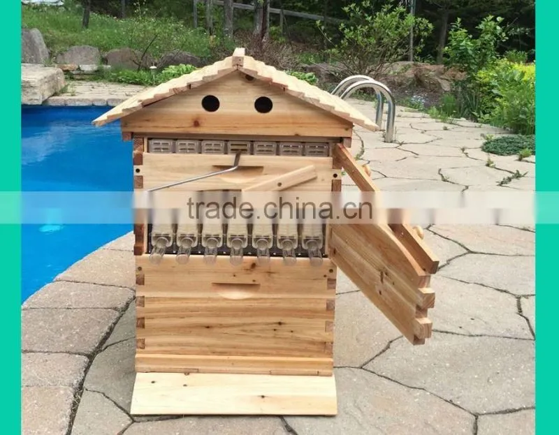 beehive box , super quality flowhive box ,beehive for sale.flowhive with flow frame
