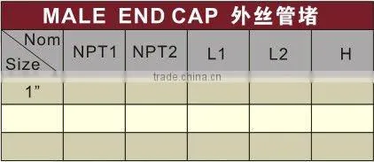 PVC Male End Cap BS 4346 /PVC Caps