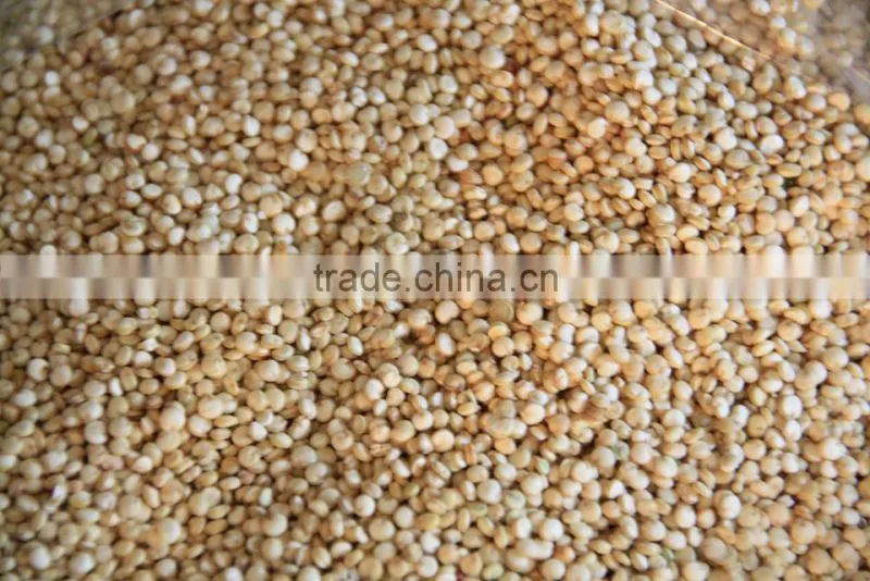 quinoa seeds sorting machine color sorter machine