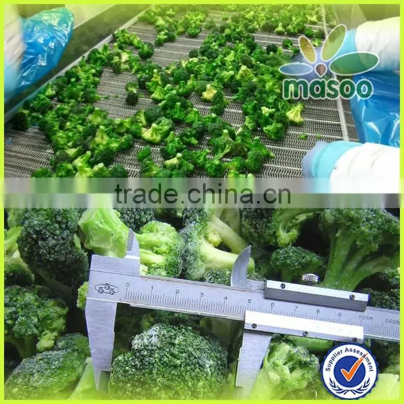 Cleaning fresh green broccoli, frozen broccoli in bulk