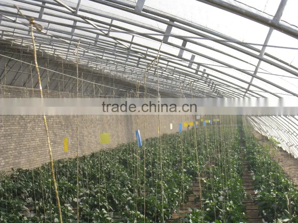 Chinese style Sunlight lean to roof Solar greenhouse