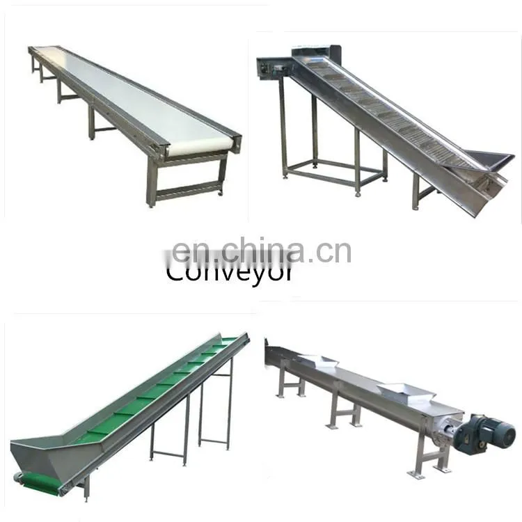 Shanghai Genyond mango processing machine for dry chips