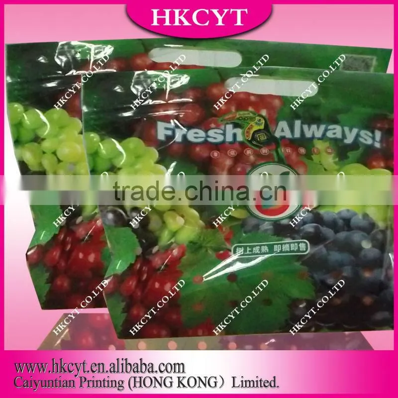 Custom design free shape packaing bag/Wholesale cheaper food grade packaging bag