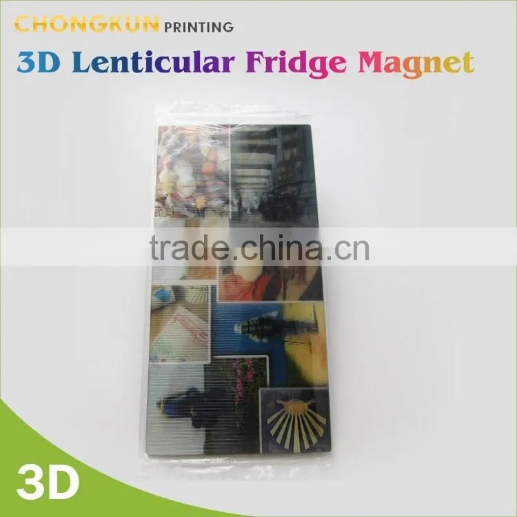 2D PARIS souvenir personalized fridge magnets,custom fridge magnet