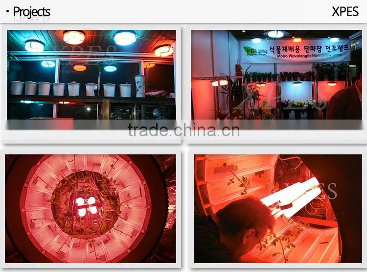For sale hydroponic medical plant bi-spectrum induction grow light 300w