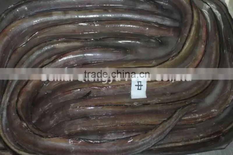fresh frozen fish frozen eel fish