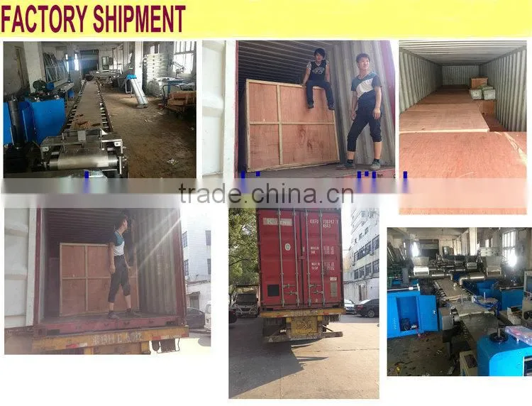 DPP-140A Blister Packing Machine/Blister Packaging Machine