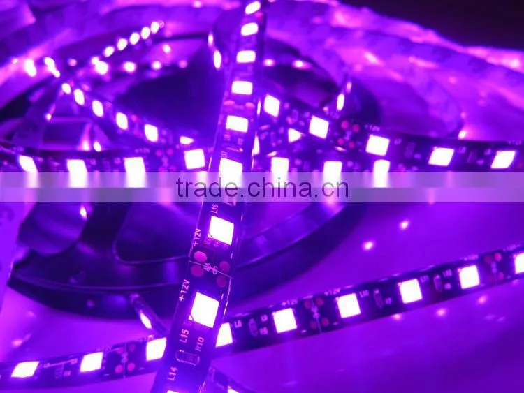 New arrival!!! SMD5050 High brightness Led Strip Light